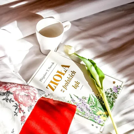 Na Harendzie Chalet Zakopane