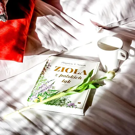 Na Harendzie * Ζακοπάνε